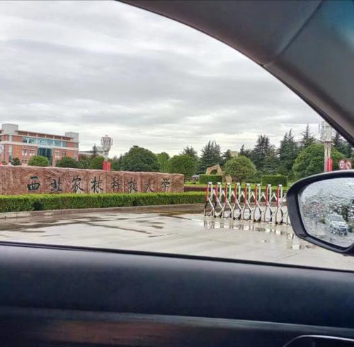 Latest company news about Dear Dairy