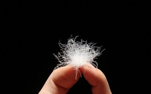 Latest company news about Why is there a smelly smell in down jackets？