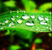 Latest company news about Environmental Testing