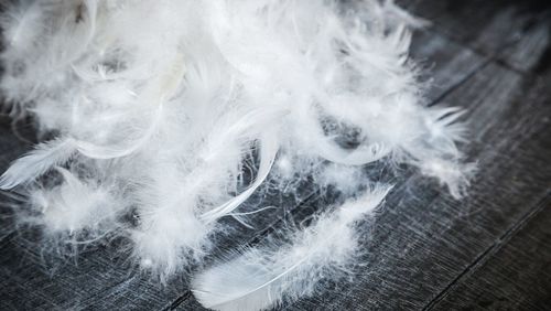 Latest company news about Why is there a smelly smell in down jackets？