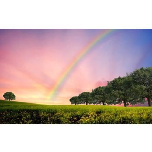 Latest company news about 11 standard color cards commonly used in textile printing and dyeing